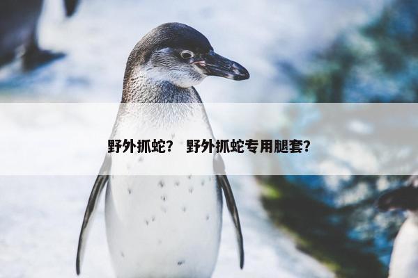 野外抓蛇？ 野外抓蛇专用腿套？