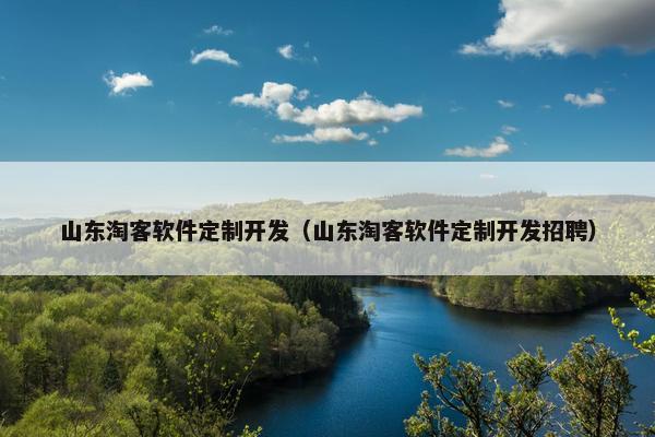 山东淘客软件定制开发（山东淘客软件定制开发招聘）