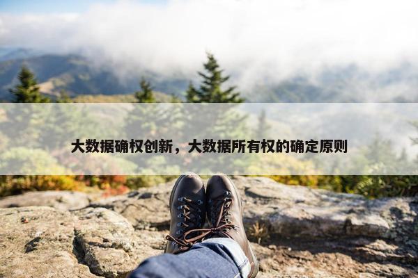 大数据确权创新，大数据所有权的确定原则