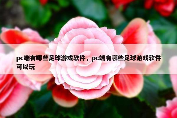 pc端有哪些足球游戏软件，pc端有哪些足球游戏软件可以玩