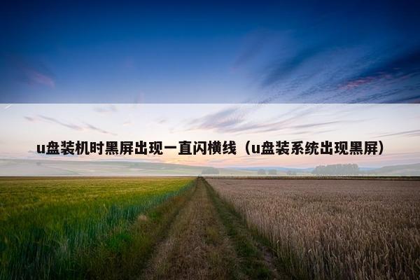 u盘装机时黑屏出现一直闪横线（u盘装系统出现黑屏）