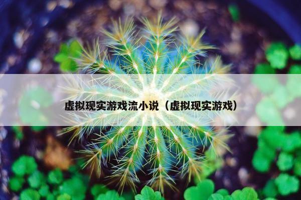 虚拟现实游戏流小说（虚拟现实游戏）