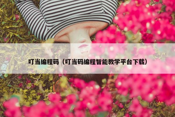 叮当编程码（叮当码编程智能教学平台下载）