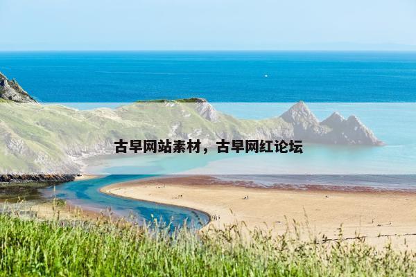 古早网站素材，古早网红论坛