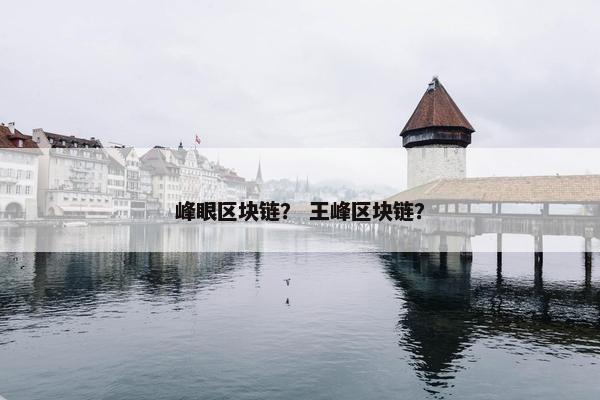 峰眼区块链？ 王峰区块链？
