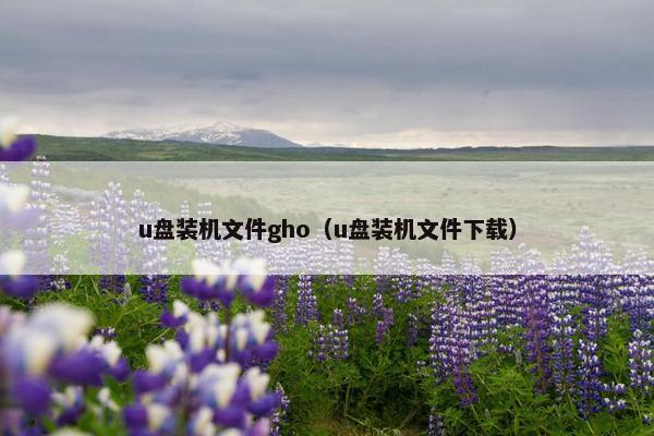 u盘装机文件gho（u盘装机文件下载）