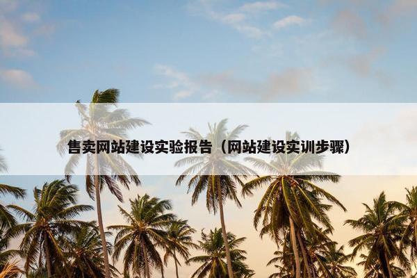 售卖网站建设实验报告（网站建设实训步骤）