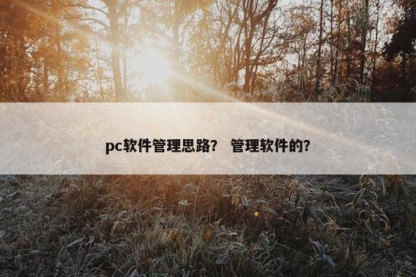 pc软件管理思路？ 管理软件的？