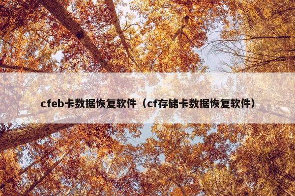 cfeb卡数据恢复软件（cf存储卡数据恢复软件）