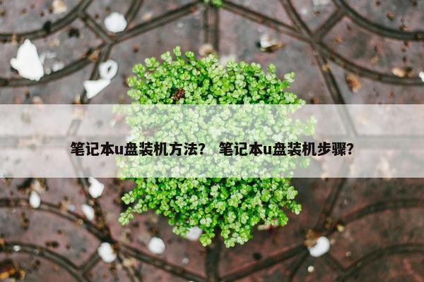笔记本u盘装机方法？ 笔记本u盘装机步骤？