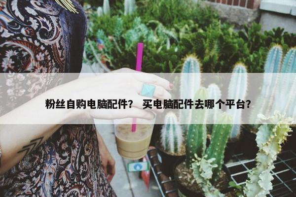 粉丝自购电脑配件？ 买电脑配件去哪个平台？