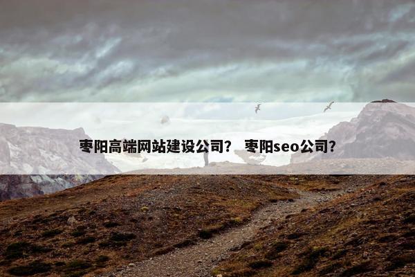 枣阳高端网站建设公司？ 枣阳seo公司？