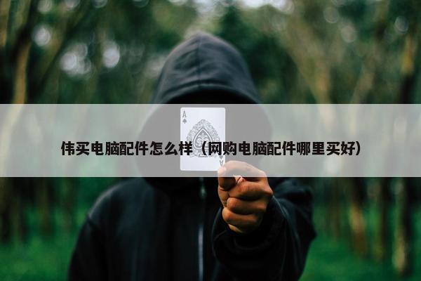 伟买电脑配件怎么样（网购电脑配件哪里买好）