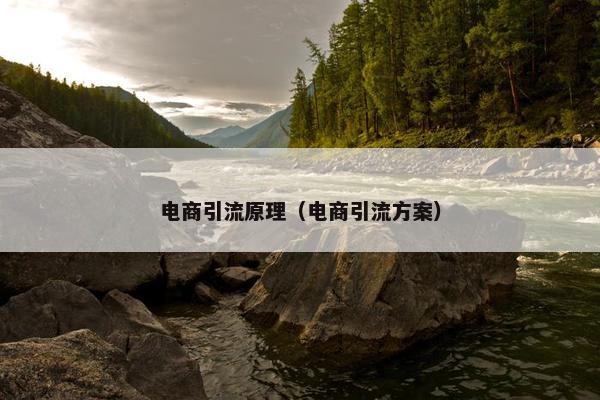 电商引流原理（电商引流方案）