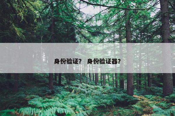 身份验证？ 身份验证器？