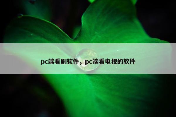 pc端看剧软件，pc端看电视的软件