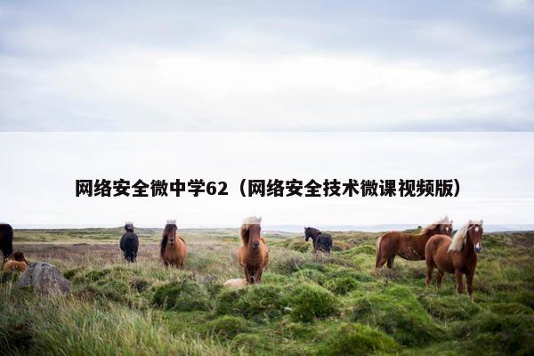 网络安全微中学62（网络安全技术微课视频版）