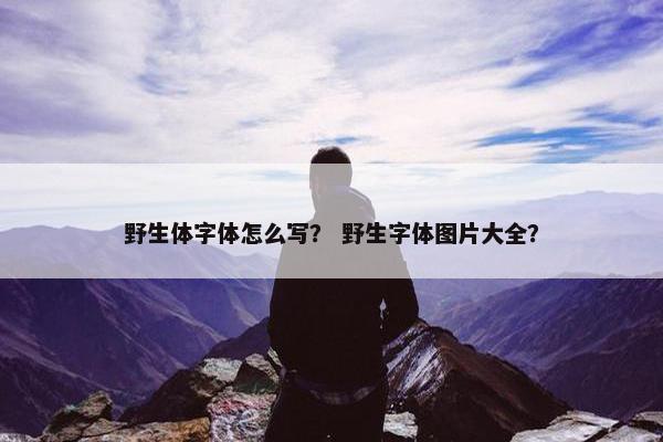 野生体字体怎么写？ 野生字体图片大全？