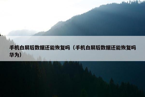手机白屏后数据还能恢复吗（手机白屏后数据还能恢复吗华为）