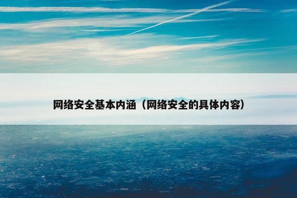 网络安全基本内涵（网络安全的具体内容）