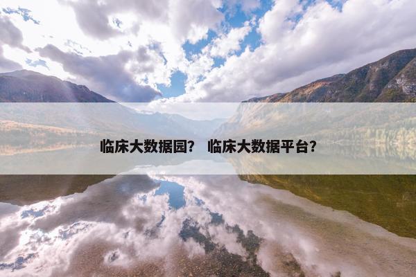 临床大数据园？ 临床大数据平台？