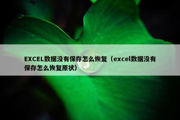 EXCEL数据没有保存怎么恢复（excel数据没有保存怎么恢复原状）