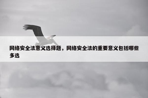 网络安全法意义选择题，网络安全法的重要意义包括哪些多选