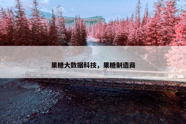果糖大数据科技，果糖制造商