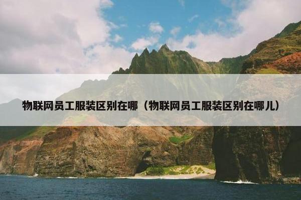 物联网员工服装区别在哪（物联网员工服装区别在哪儿）