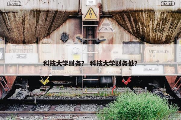 科技大学财务？ 科技大学财务处？