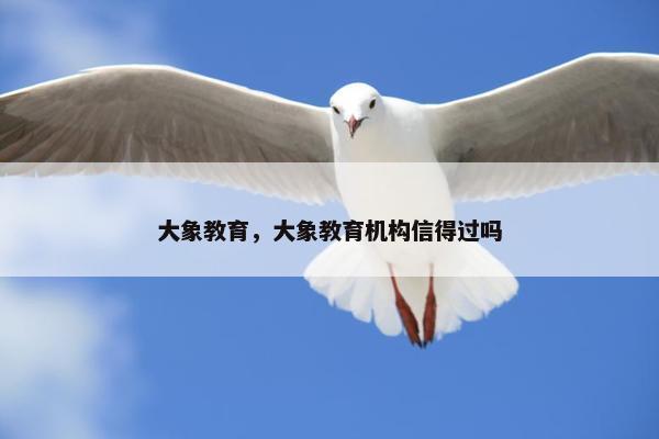 大象教育，大象教育机构信得过吗