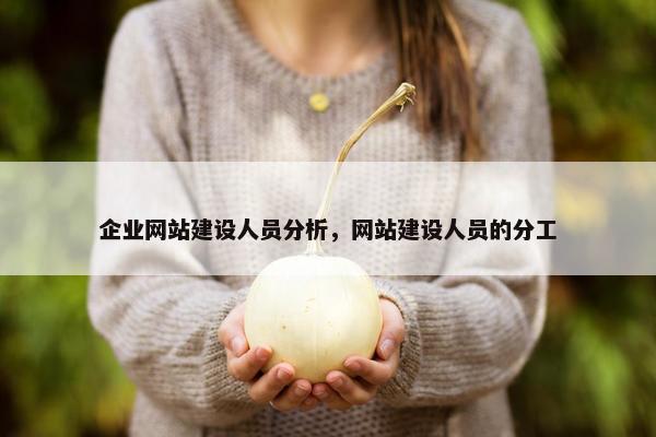 企业网站建设人员分析，网站建设人员的分工