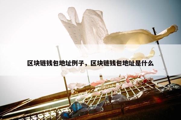 区块链钱包地址例子，区块链钱包地址是什么