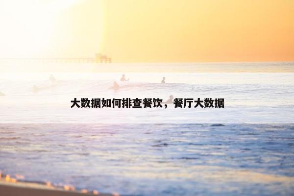 大数据如何排查餐饮，餐厅大数据