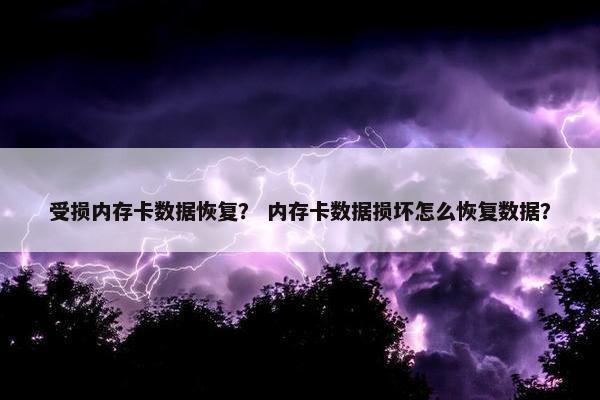 受损内存卡数据恢复？ 内存卡数据损坏怎么恢复数据？
