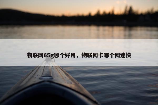 物联网65g哪个好用，物联网卡哪个网速快