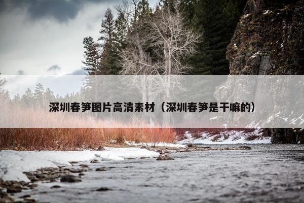深圳春笋图片高清素材（深圳春笋是干嘛的）