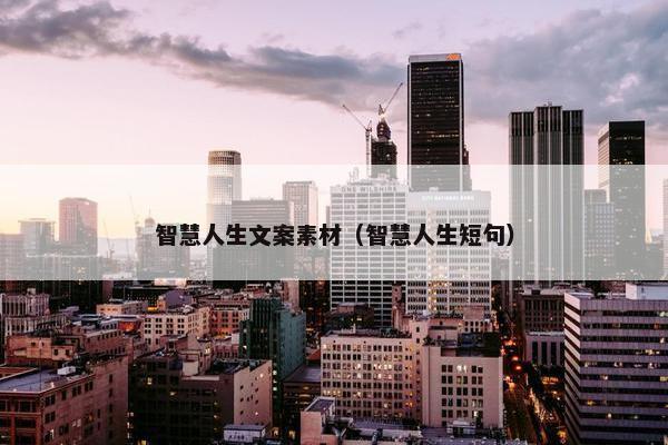 智慧人生文案素材（智慧人生短句）