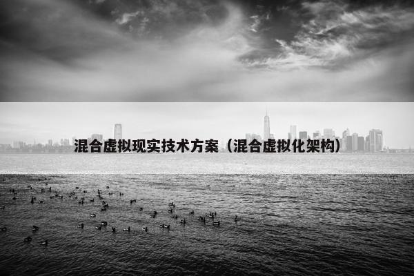 混合虚拟现实技术方案（混合虚拟化架构）
