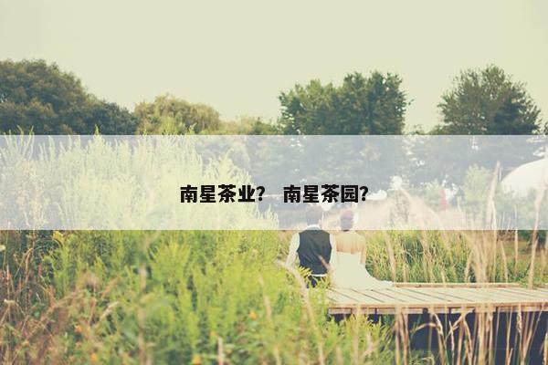 南星茶业？ 南星茶园？