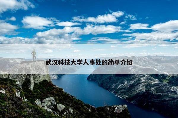 武汉科技大学人事处的简单介绍