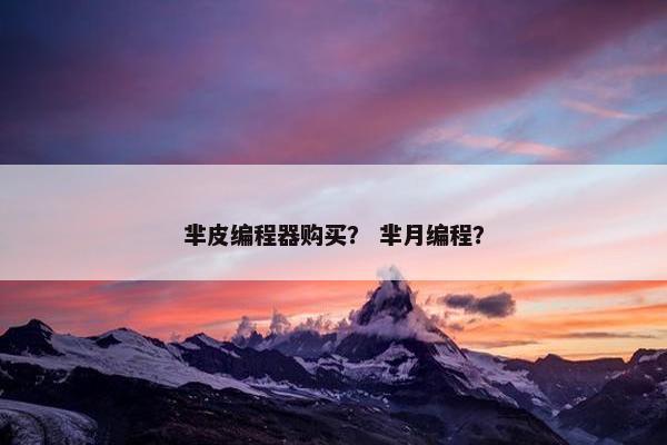 芈皮编程器购买? 芈月编程? 芈皮编程器购买? 芈月编程?