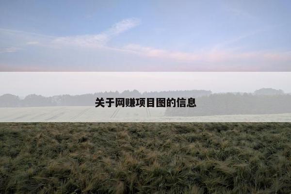 关于网赚项目图的信息