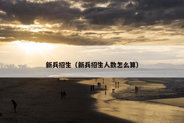 新兵招生（新兵招生人数怎么算）