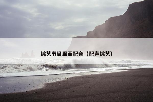 综艺节目里面配音（配声综艺）