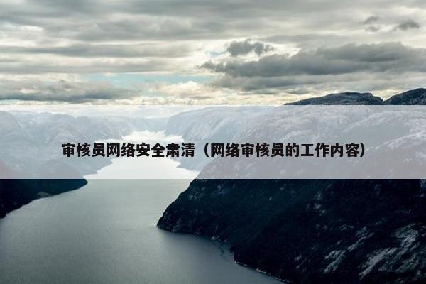 审核员网络安全肃清（网络审核员的工作内容）