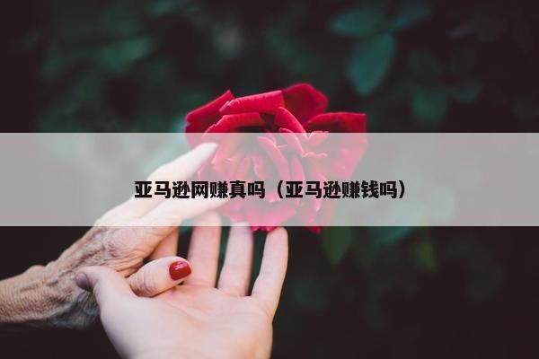 亚马逊网赚真吗（亚马逊赚钱吗）