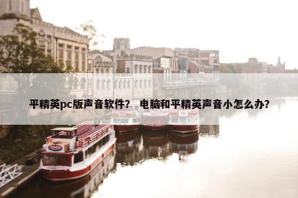 平精英pc版声音软件？ 电脑和平精英声音小怎么办？
