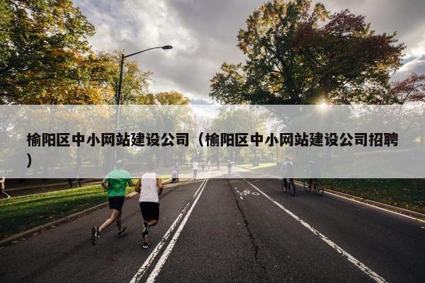 榆阳区中小网站建设公司（榆阳区中小网站建设公司招聘）