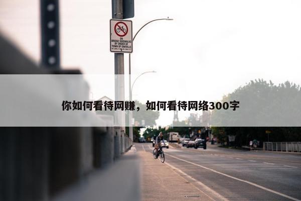你如何看待网赚，如何看待网络300字